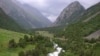 Алтыгана –жайыттардын жана малчылардын душманы