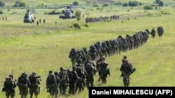 НАТОнун машыгуусу. Иллюстрациялык сүрөт.