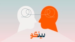 آیا زبان اصلی شیراز فارسی است؟