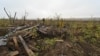 СБУ: трьох затриманих бойовиків судитимуть за держзраду, серед них – учасник штурмів Роботиного
