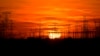 România importă masiv energie electrică