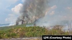 Šumski požar u Severnoj Makedoniji, jul 2024.