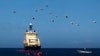 VENEZUELA-CUBA - A ship lays fiber optic cable