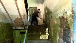 Ջրհեղեղից տուժածներն ու չորս զոհվածների ընտանիքները փոխհատուցում կստանան 