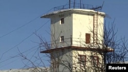 Колонията "Полярен вълк"