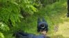 Fotografija Ministarstva unutrašnjih poslova Srbije o kosovskim policajcima koji su navodno uhapšeni kada su ušli na teritoriju Srbije.