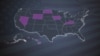Explainer Primaries USA