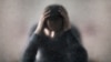 Иллюстрациялык сүрөт.