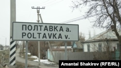 Жайыл районундагы Полтавка айылы, Чүй облусу. 2024. 
