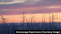 A photograph taken on January 1, 2023.