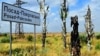 Деокуповане минулого року село Посад-Покровське на Херсонщині досі не можуть відбудувати