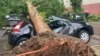 Posledice nevremena u Beogradu, 2. jul 2024. Snažan vetar je u širom zemlja Zapadnog Balkana čupao drveće.