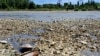 Село на березі Каховського водосховища, Нікопольський район Дніпропетровська область, 9 червня 2023 року