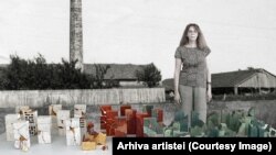 Renée Renard a făcut din istoria dramatică a familiei sale de francezi colonizați în Banat o sursă de inspirație artistică. O vedem inserată digital într-o fotografie a vechii fabrici de cărămidă construită de familia sa la Tomnatic, care dă numele proiectului faBRIQUE. 