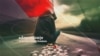 Romania cover proiect dependente paula rusu