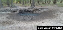 Adăpătoare secată, vineri, 12 august, ora 7:00