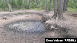 Adăpătoarea cu urme de noroi, în amintirea apei de odinioară.