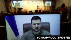 Украинанын президенти Владимир Зеленский Түштүк Кореянын парламентине кайрылуу жасап жатат. 11-апрель, 2022-жыл. 
