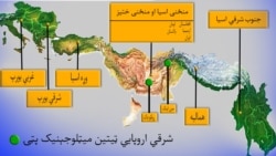 د معدنیاتو پټۍ