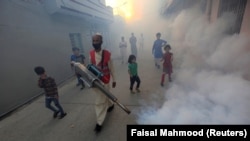 د ډینګي ماشي ضد کمپاین پخوانی عکس 