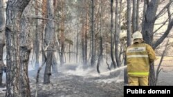 Костанай облусундагы өрттү өчүрүү аракети. 