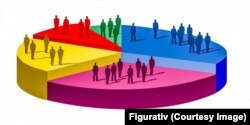 Sondajele influențează relativ alegerile