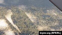 Як відзначив прем’єр, заяви фермерів про нібито «відсутність підтримки» з боку держави є «абсолютно неспроможними»
