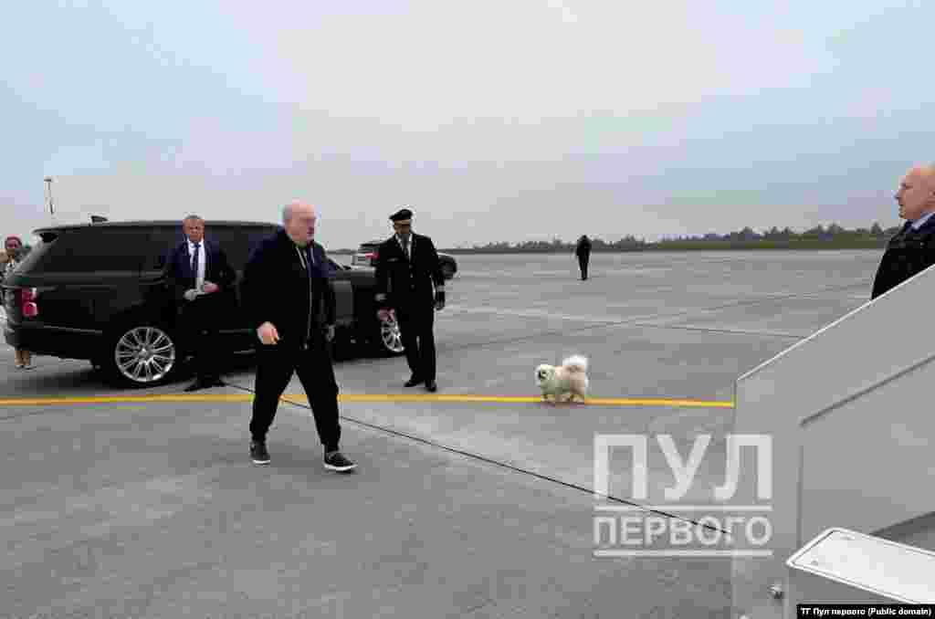 15 верасьня Аляксандар Лукашэнка пачаў свой візыт у Самарканд на саміт лідэраў Шанхайскай арганізацыі супрацоўніцтва. У спартовым строі і са шпіцам ён вылятаў з аэрадрому Балбасава, што каля яго рэзыдэнцыі на Шклоўшчыне. За дзень да гэтага ён сек дровы «для замярзаючай Эўропы».