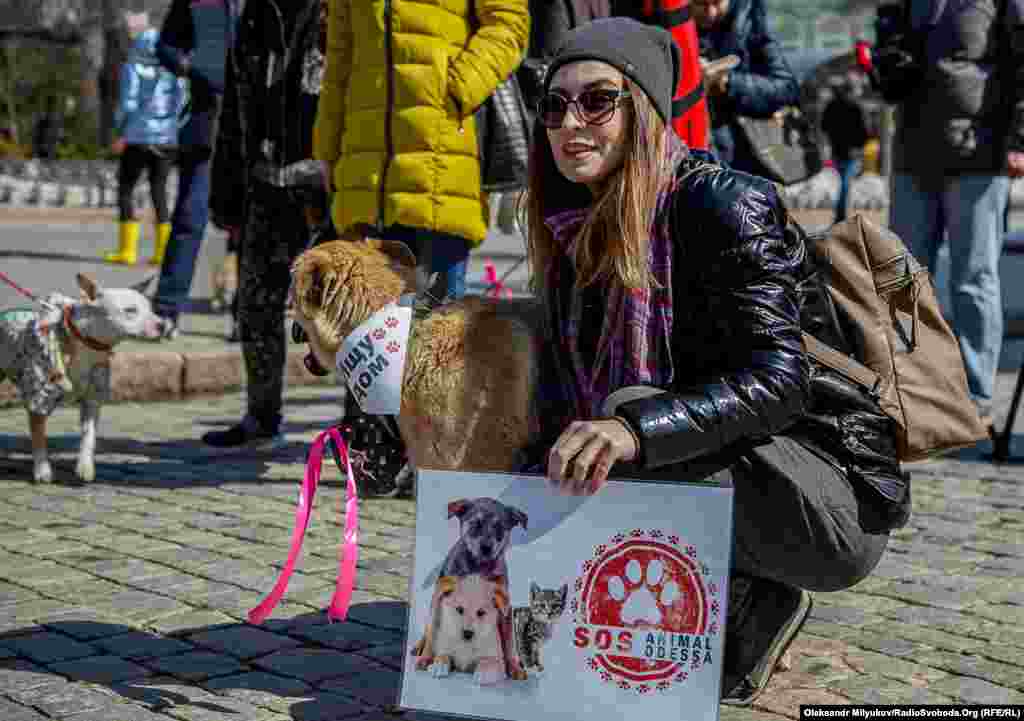 «Animal SOS Одесса» – одна из волонтерских групп помощи бездомным животным