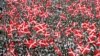 Многохиляден митинг на пропутинското младежко движение "Наши" в Москва, 15 май 2005 г.