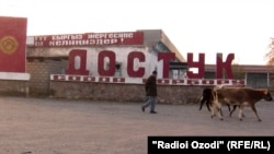 Кыргызско-таджикская граница, Лейлекский район, Баткенская область.