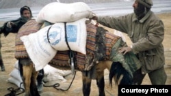 A man loads a donkey with food from the UN's World Food Program in Badakhshan Province in Afghanistan earlier this year.