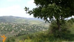 Սահմանային բնակչության շրջանում խուճապ չկա. Տավուշի մարզպետ