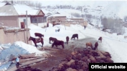 Массовая гибель домашнего скота в Кара-Кульжинском районе Ошской области. Фото предоставлено пресс-службой МЧС КР