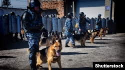 Иллюстративное фото