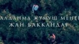 Жалданма жумуш менен жан баккандар 