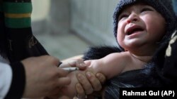 يو ماشوم ته د شري واکسين کېږي (انځور له ارشيفه)