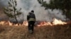 У ДСНС розповіли, як триває гасіння пожеж на Житомирщині та в зоні відчуження