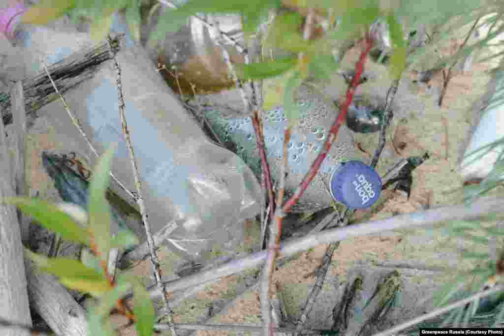Nesterov says: “Bird migration is studied in the Nizhne-Svirsky Nature Reserve and there are over 256 types of birds here. Some of them suffer from plastic: they eat it instead of fish, stuffing their gastrointestinal tract. It affects their health, and they can die.”