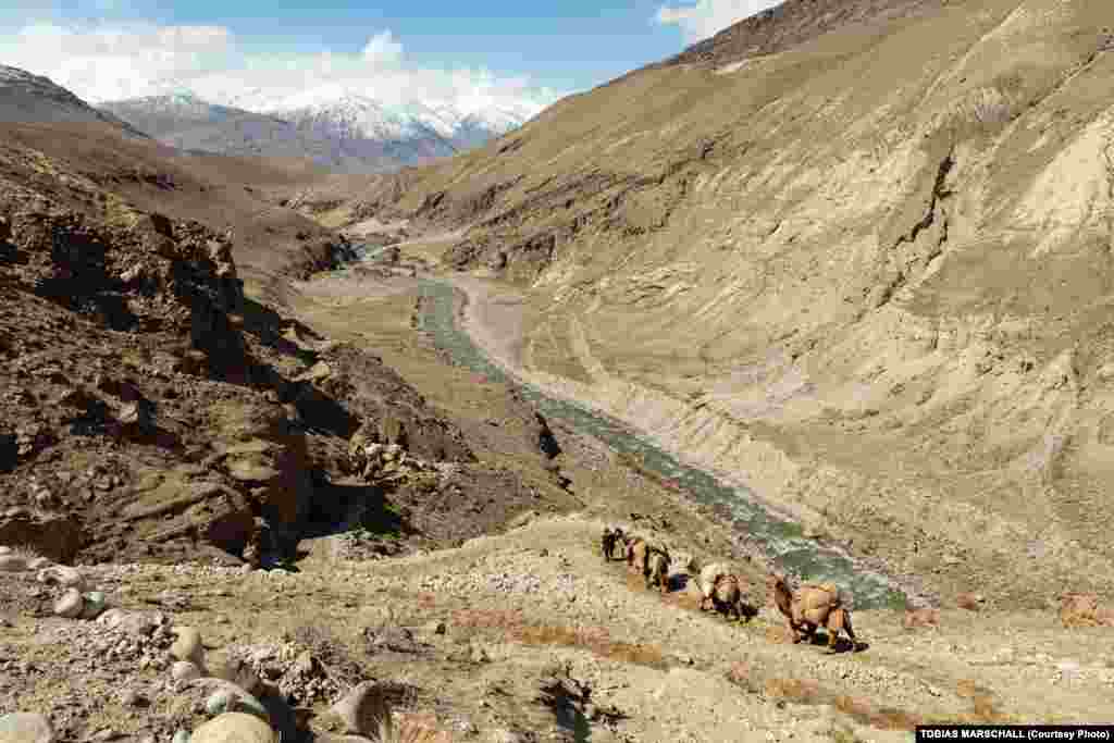 A caravan of Bactrian camels travels on a Pamir mountain path to a small market in Goz Khun in the lowlands below.