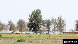 Gazeta.uz Термиздаги чодирли лагернинг фотосуратини эълон қилди.