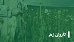 کاروان زهر