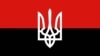 Комісія Київради погодила рішення про вивішення у певні дати прапора ОУН