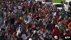 Migranti iz Hondurasa na putu prema SAD