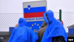 Migranti na slovenačko-hrvatskoj granici, 19. oktobra 2015.