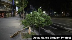 Furtuna din București a dărâmat mai mulți copaci și a lăsat în urmă avarii. Mai mulți oameni au sesizat că nu au primit semnalul de alertă decât după ce furtuna începuse deja. 
