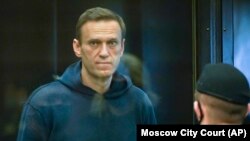 Алексей Навальный сот залында