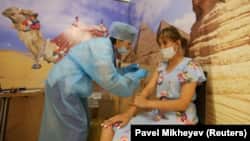 Казакстанда коронавируска каршы вакцина алып жаткан жаран.