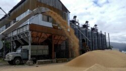 Exportul cerealelor din Ucraina face parte dintr-un acord internațional negociat de Turcia cu Rusia, iar Kremlinul și-a anunțat suspendarea participării din acord. Imagine generică din Odessa.