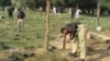 A police officers collects evidence at the site of a suicide bombing in Lower Dir in September 2011. (file photo)